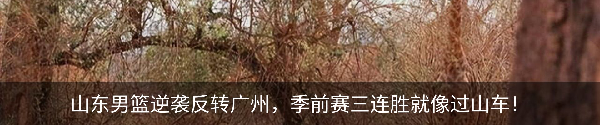 最新动态